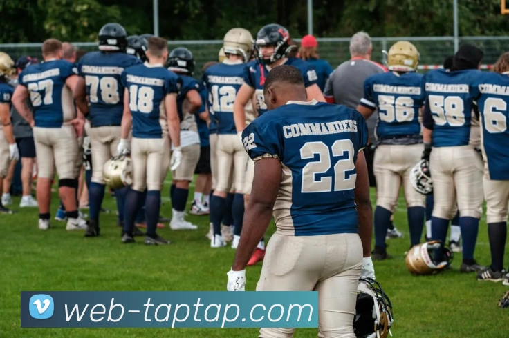 App Interface Preview