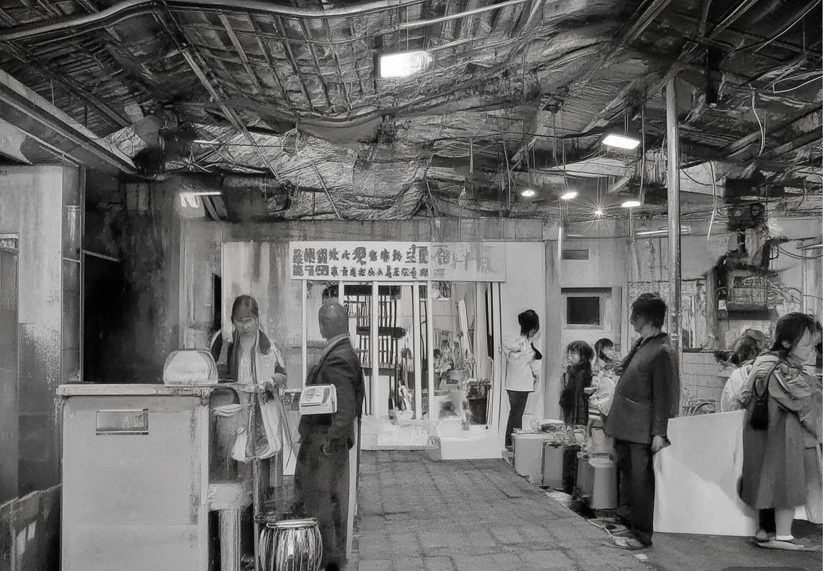 福建VS广厦精彩对决回顾：战术分析及关键球员表现